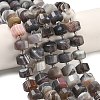 Natural Botswana Agate Beads Strands G-G453-G10-7x12mm-1