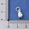 925 Sterling Silver 3D Chinese Zodiac Charms STER-P066-01S-09-3