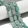 Natural Amazonite Beads Strands G-P544-B09-01-2