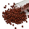 TOHO 6/0 Round Beads SEED-TR06-0046L-1