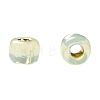 TOHO 11/0 Round Beads X-SEED-TR11-PF2109-4