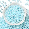 3/0 Glass Seed Beads X1-SEED-L011-03A-05-2