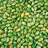 Glass Seed Beads SEED-T009-02K-3
