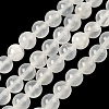 Natural Selenite Beads Strands G-N328-025B-01-1