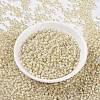 MIYUKI Round Rocailles Beads SEED-JP0009-RR0577-2