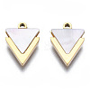 316 Surgical Stainless Steel Charms STAS-N097-043-2