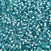 Glass Seed Beads SEED-S042-04B-23-3