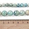 Natural Fossil Graduated Beads Strands G-F830-A03-01E-6