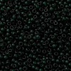 MIYUKI Round Rocailles Beads X-SEED-G008-RR0156F-3