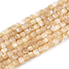 Natural Trochid Shell/Trochus Shell Beads Strands SSHEL-N041-04A-02-1