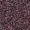 TOHO Round Seed Beads X-SEED-TR11-0201-2