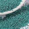 MIYUKI Round Rocailles Beads X-SEED-G009-RR0435-1