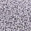 MIYUKI Delica Beads X-SEED-J020-DB0429-3