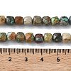 Natural African Turquoise(Jasper) Beads Strands G-L651-D02-6x6mm-5
