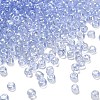Transparent Colours Glass Seed Beads SEED-H004-01F-1