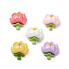 Opaque Resin Cabochons RESI-R455-01A-1