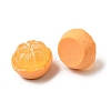 Fruit Theme Opaque Resin Cabochons RESI-C079-02E-2
