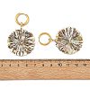 Natural Paua Shell 202 Stainless Steel Dangle Huggie Hoop Earrings for Women EJEW-JE07439-02-5