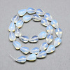 Opalite Bead Strands X-G-T004-22-2