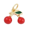 Brass Enamel Charms KK-Q028-34G-1