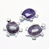 Natural Amethyst Pendant G-G759-B01-1