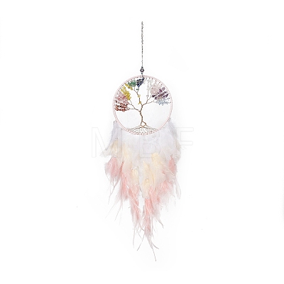 Iron Woven Web/Net with Feather Pendant Decorations LS-AJEW-B017-24-1