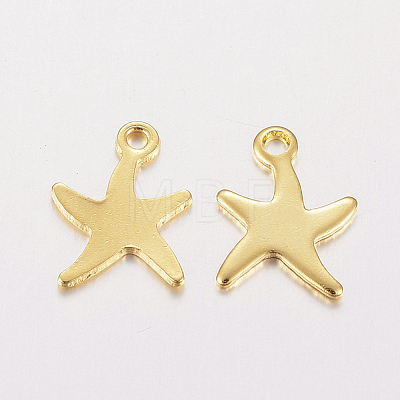304 Stainless Steel Charms STAS-F162-40G-1
