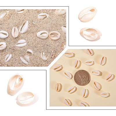 Mixed Cowrie Shell Beads BSHE-NB0001-08-1