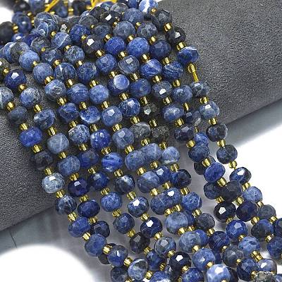 Natural Sodalite Beads Strands G-K389-E74-01B-1