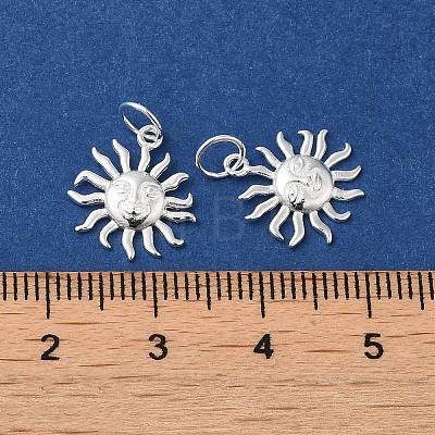 925 Sterling Silver Charms STER-NH0001-33S-1