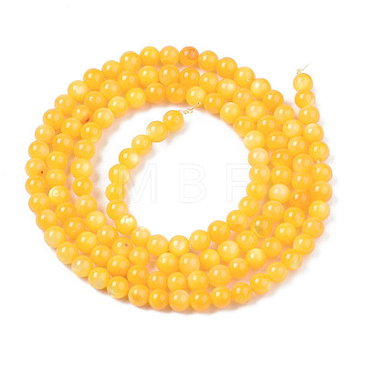 Natural Freshwater Shell Beads Strands X-BSHE-T009A-01I-1