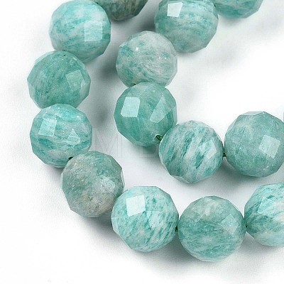 Natural Amazonite Beads Strands G-S345-10mm-25-1