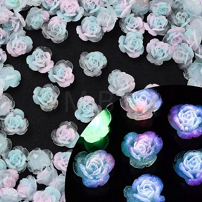 Luminous Resin Decoden Cabochons RESI-K036-52-1