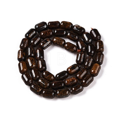 Natural Bronzite Beads Strands G-G980-42A-1