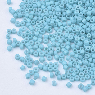 Baking Paint Cylinder Seed Beads SEED-Q036-02A-D06-1