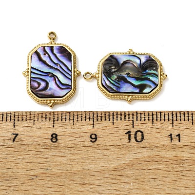 303 Stainless Steel & Natural Paua Shell Pendants SH-CBA1E47-01G-1