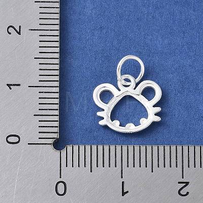 925 Sterling Silver Chinese Zodiac Outline Charms STER-P066-02S-01-1