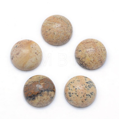 Natural Picture Jasper Cabochons G-P393-R51-8MM-1