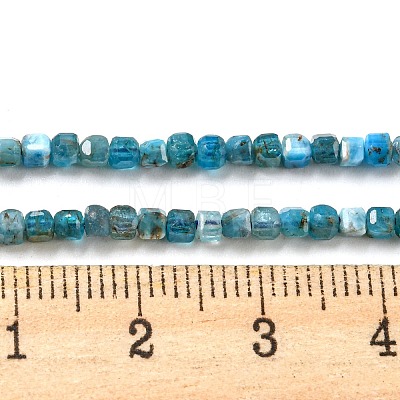 Natural Apatite Beads Strands G-P457-B01-14-1