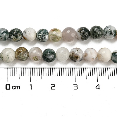 Natural Tree Agate Round Gemstone Beads Strands X-G-R255-6mm-1