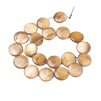 Natural Freshwater Shell Beads BSHE-I011-01A-01-1