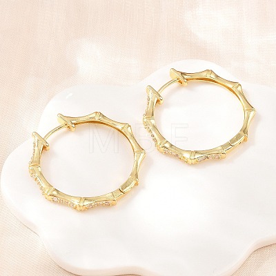 Brass Micro Pave Cubic Zirconia Hoop Earrings EJEW-P346-07G-01-1