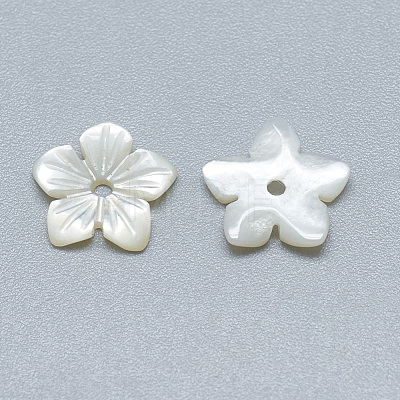 Natural White Shell Beads SSHEL-S260-006-1