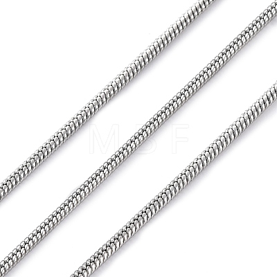 304 Stainless Steel Round Snake Chains CHS-M009-01P-02-1