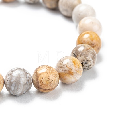 Natural Fossil Coral Stretch Beaded Bracelets G-A185-01X-1