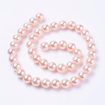 Shell Pearl Beads Strands BSHE-L035-10mm-I01-1