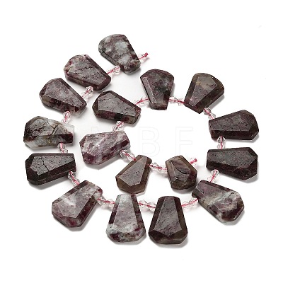 Natural Plum Blossom Tourmaline Beads Strands G-H078-A01-01-1