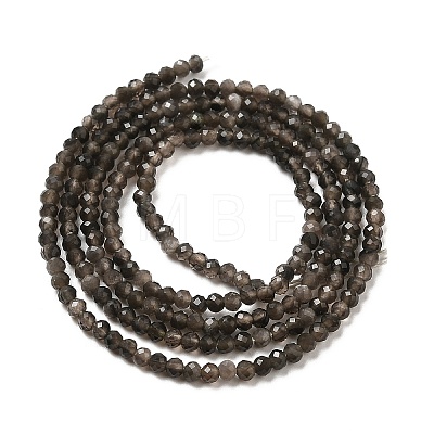 Natural Silver Sheen Obsidian Beads Strands G-E608-A02-A-1