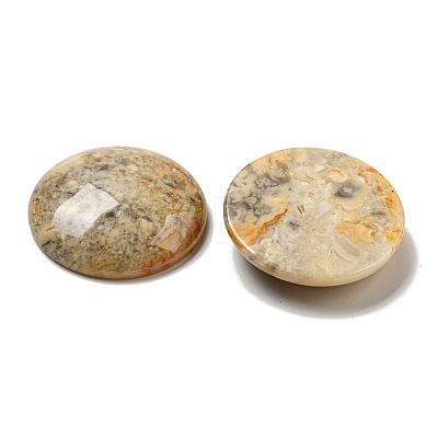 Natural Crazy Agate Cabochons G-C115-02B-23-1