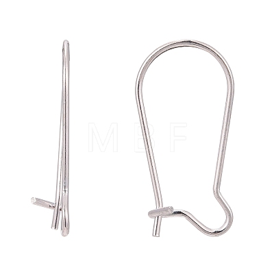 925 Sterling Silver Hoop Earrings STER-S002-55-1
